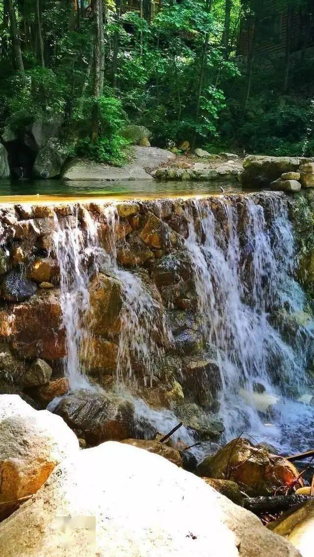 缤纷水果茶